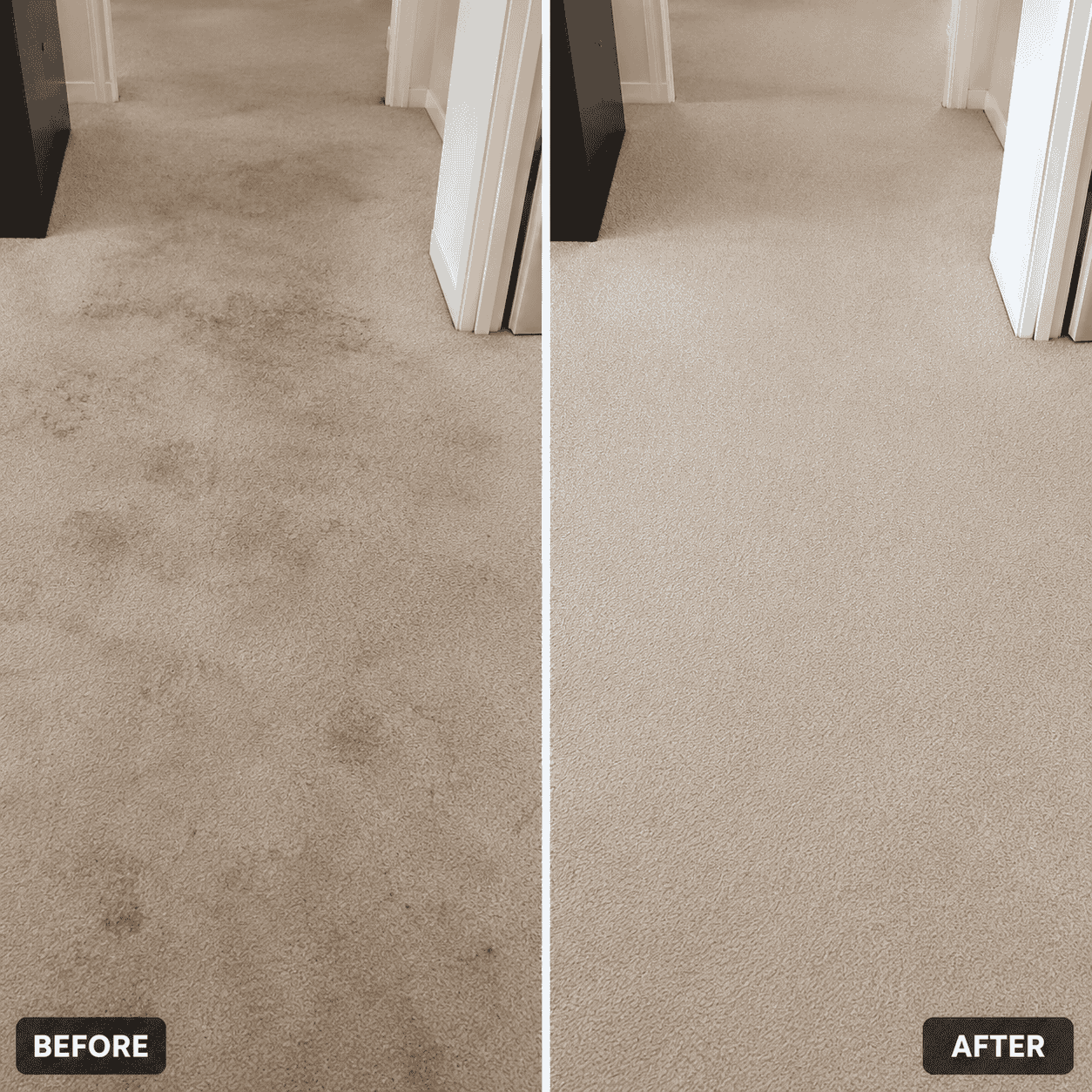 Before & After Carpet Stain Removal