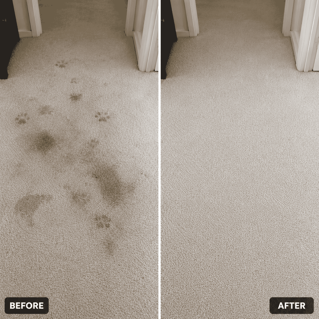 Before & After High Traffic Area Cleaning