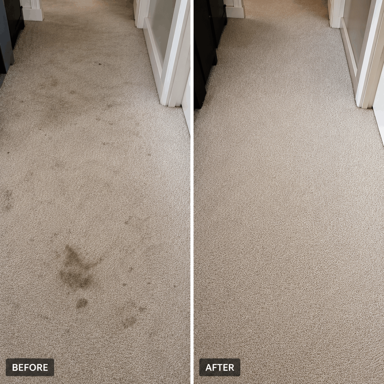 Before & After Deep Carpet Cleaning